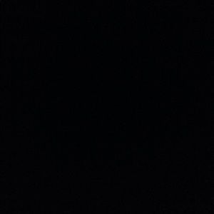 Meet your Posher, Maddie